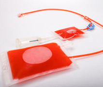 細(xì)胞生物系列